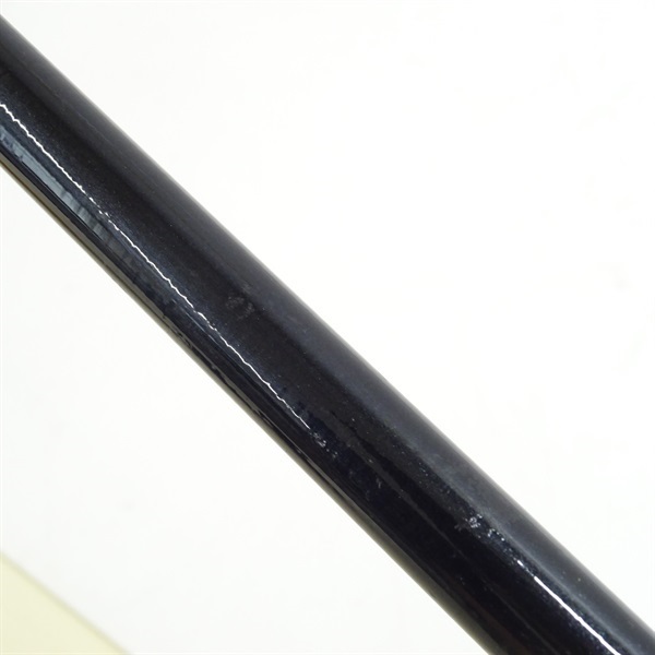 大鯉専科ＭＨ５３遠投